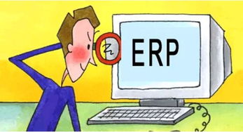 ERP系统在中国的发展现状及未来